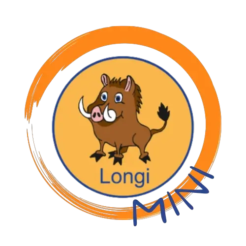 Longi Mini